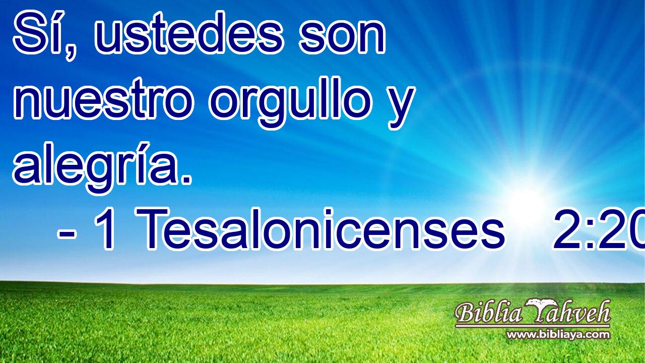  Sí, ustedes son nuestro orgullo y alegría. 