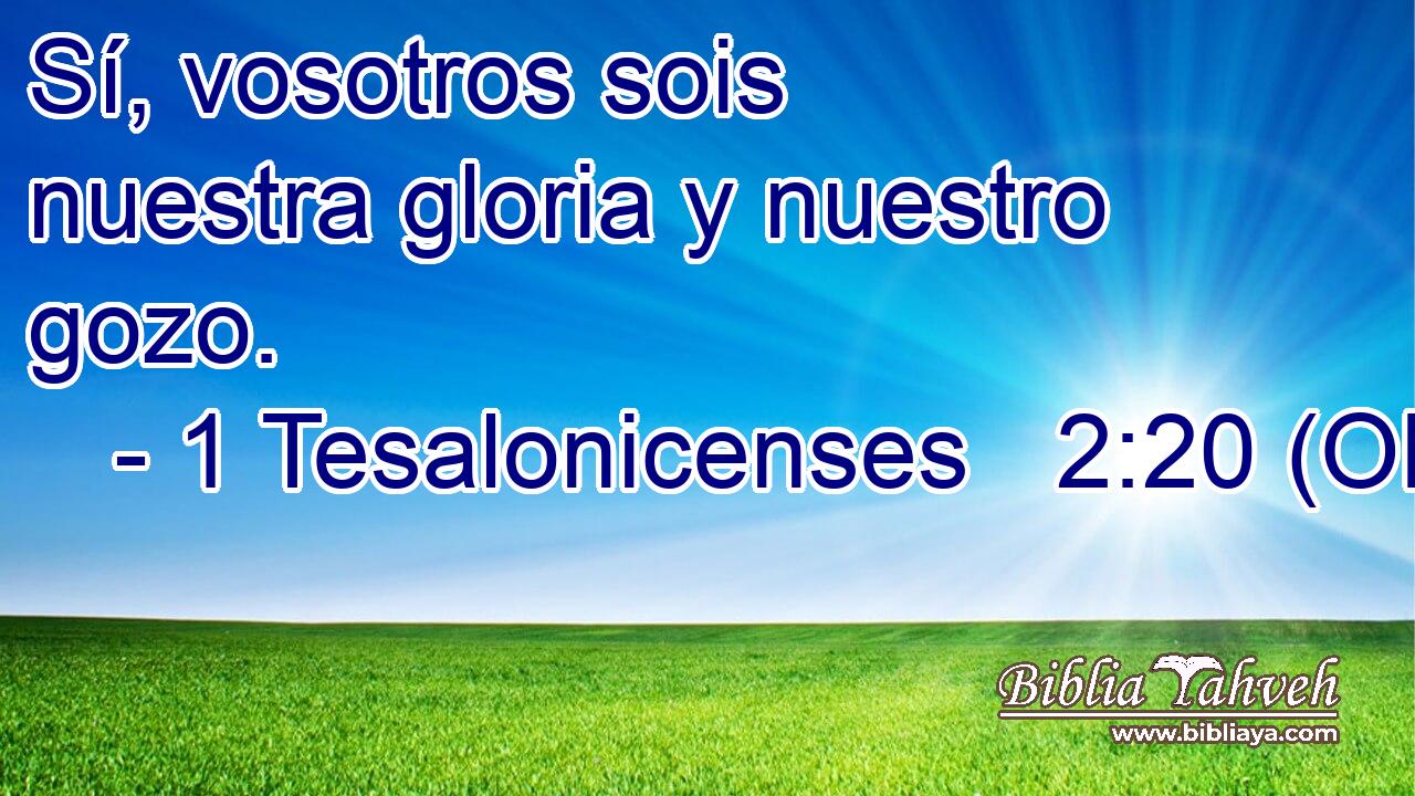 Sí, vosotros sois nuestra gloria y nuestro gozo. 