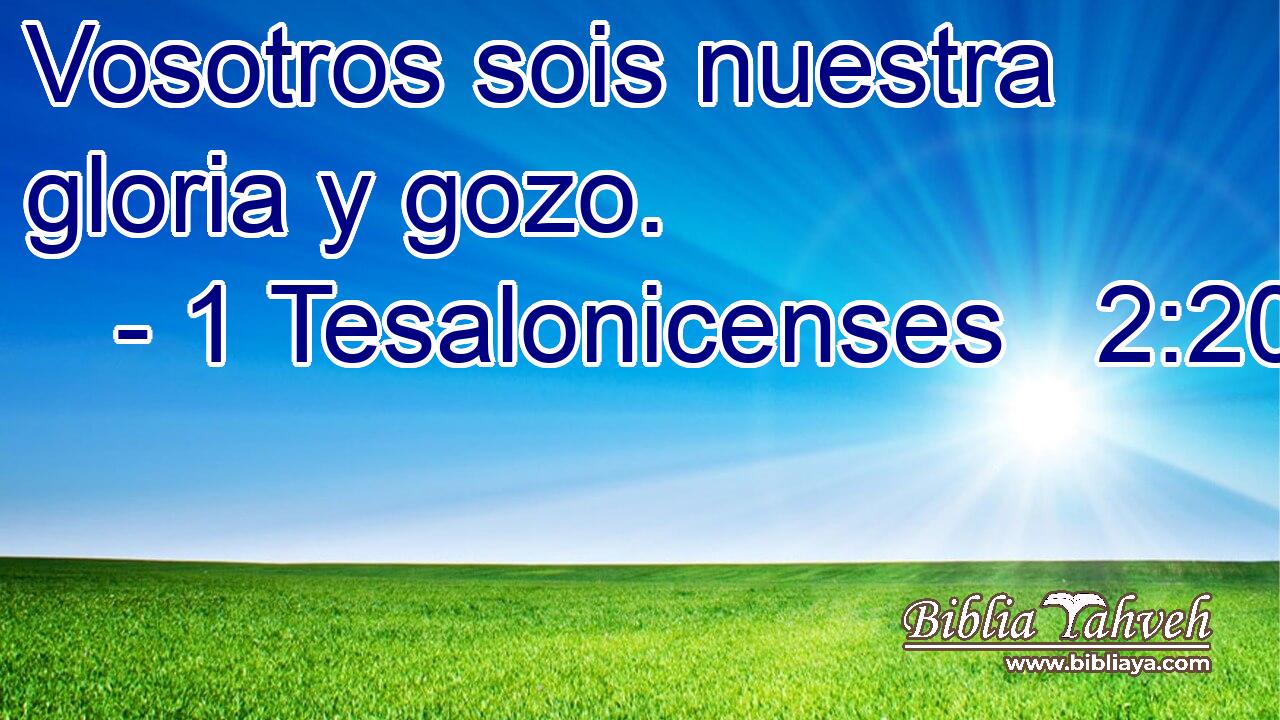 Vosotros sois nuestra gloria y gozo.