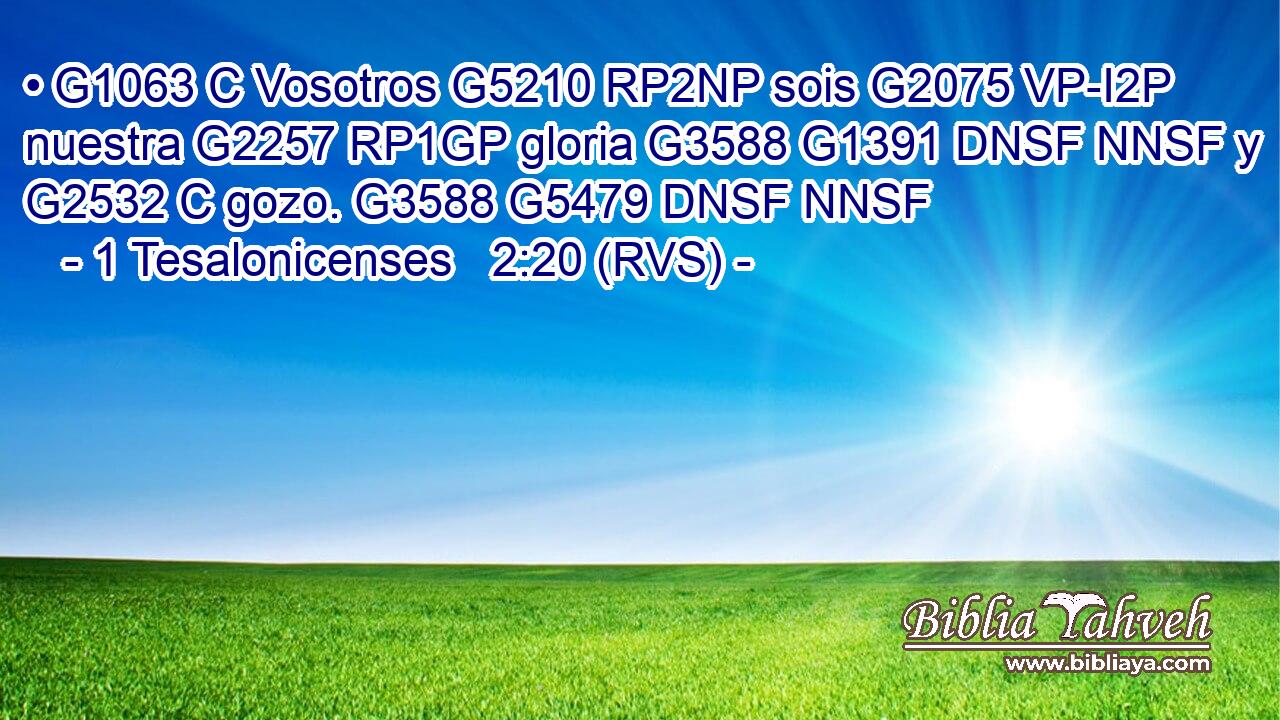 • G1063 C Vosotros G5210 RP2NP sois G2075 VP-I2P nuestra G2257 RP1GP gloria G3588 G1391 DNSF NNSF y G2532 C gozo. G3588 G5479 DNSF NNSF 