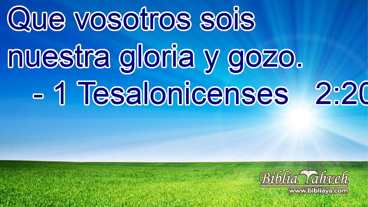 Que vosotros sois nuestra gloria y gozo.