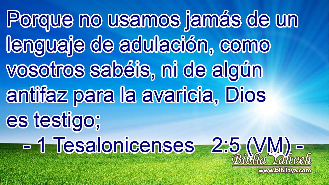  Porque no usamos jamás de un lenguaje de adulación, como vosotros sabéis, ni de algún antifaz para la avaricia, Dios es testigo; 