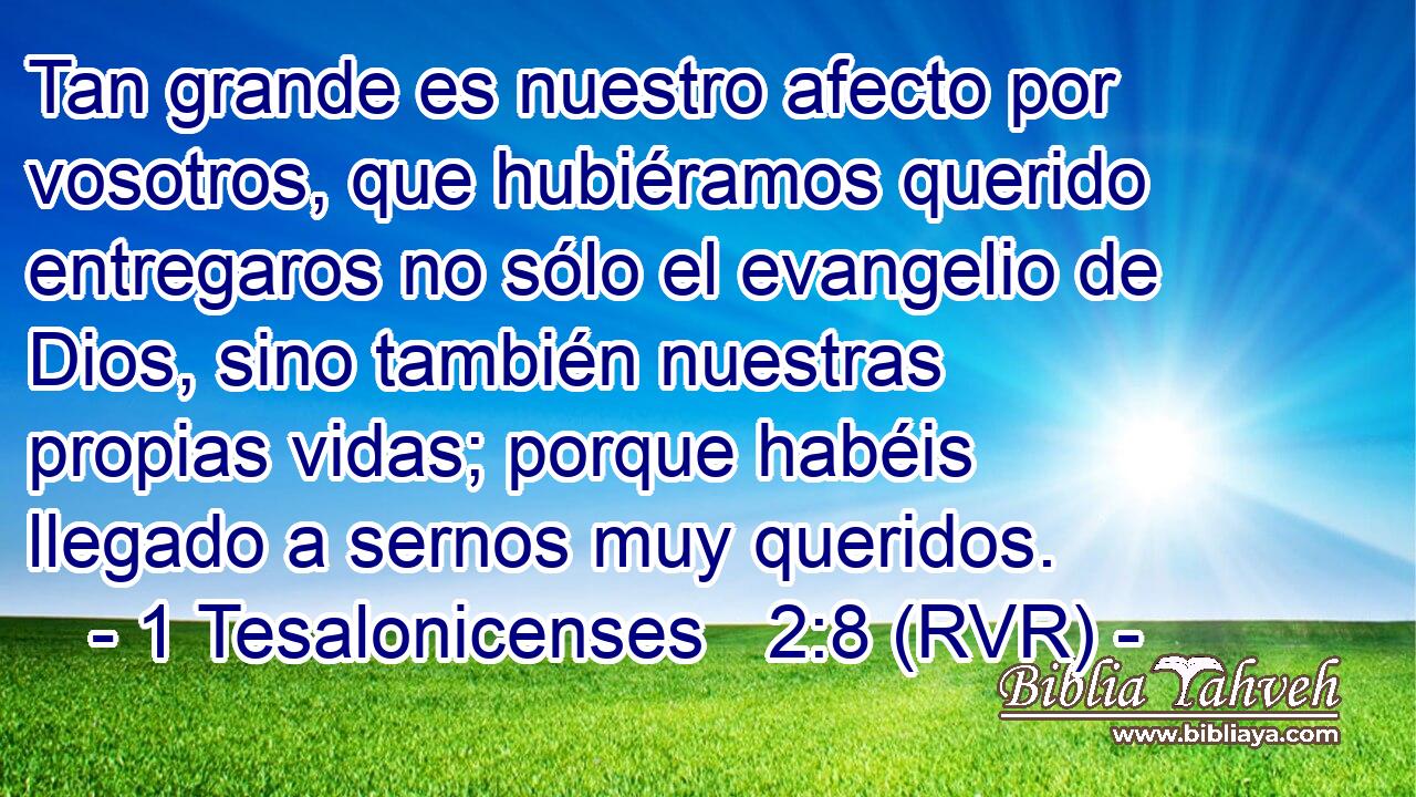 Tan grande es nuestro afecto por vosotros, que hubiéramos querido entregaros no sólo el evangelio de Dios, sino también nuestras propias vidas; porque habéis llegado a sernos muy queridos.