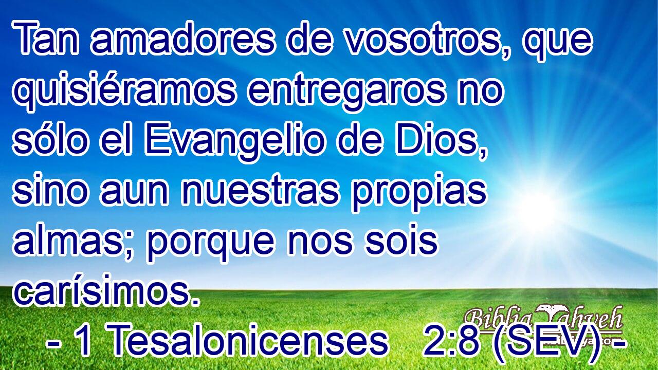 Tan amadores de vosotros, que quisiéramos entregaros no sólo el Evangelio de Dios, sino aun nuestras propias almas; porque nos sois carísimos.