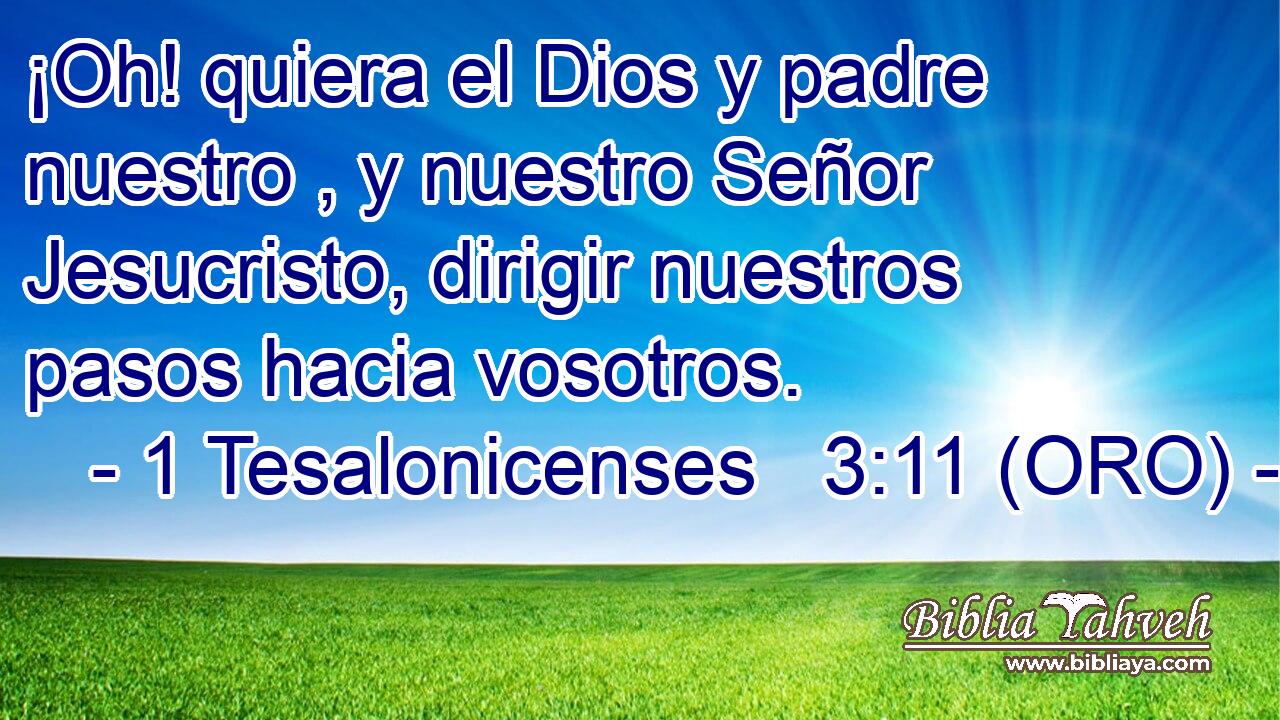  ¡Oh! quiera el Dios y padre nuestro , y nuestro Señor Jesucristo, dirigir nuestros pasos hacia vosotros. 