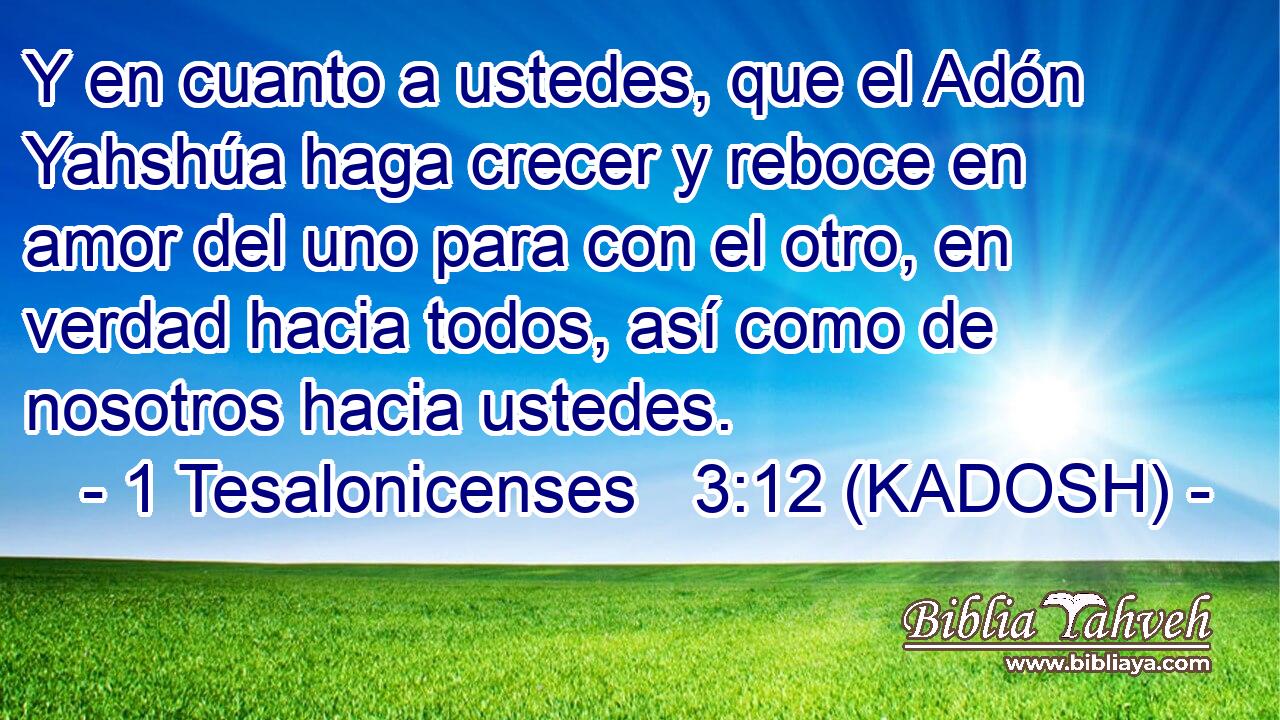 Y en cuanto a ustedes, que el Adón Yahshúa haga crecer y reboce en amor del uno para con el otro, en verdad hacia todos, así como de nosotros hacia ustedes. 