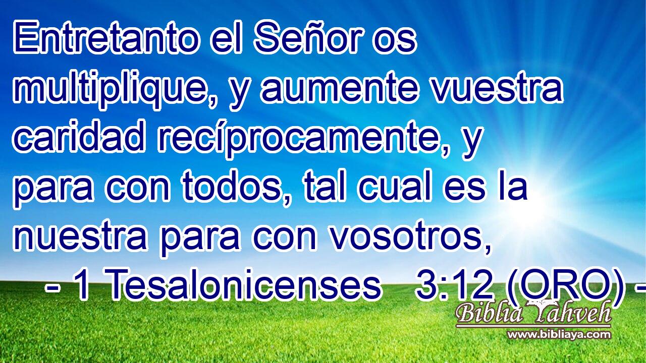  Entretanto el Señor os multiplique, y aumente vuestra caridad recíprocamente, y para con todos, tal cual es la nuestra para con vosotros, 