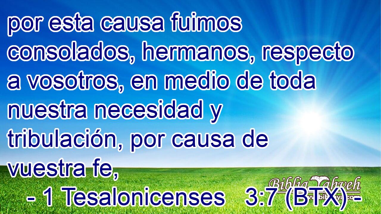 por esta causa fuimos consolados, hermanos, respecto a vosotros, en medio de toda nuestra necesidad y tribulación, por causa de vuestra fe,