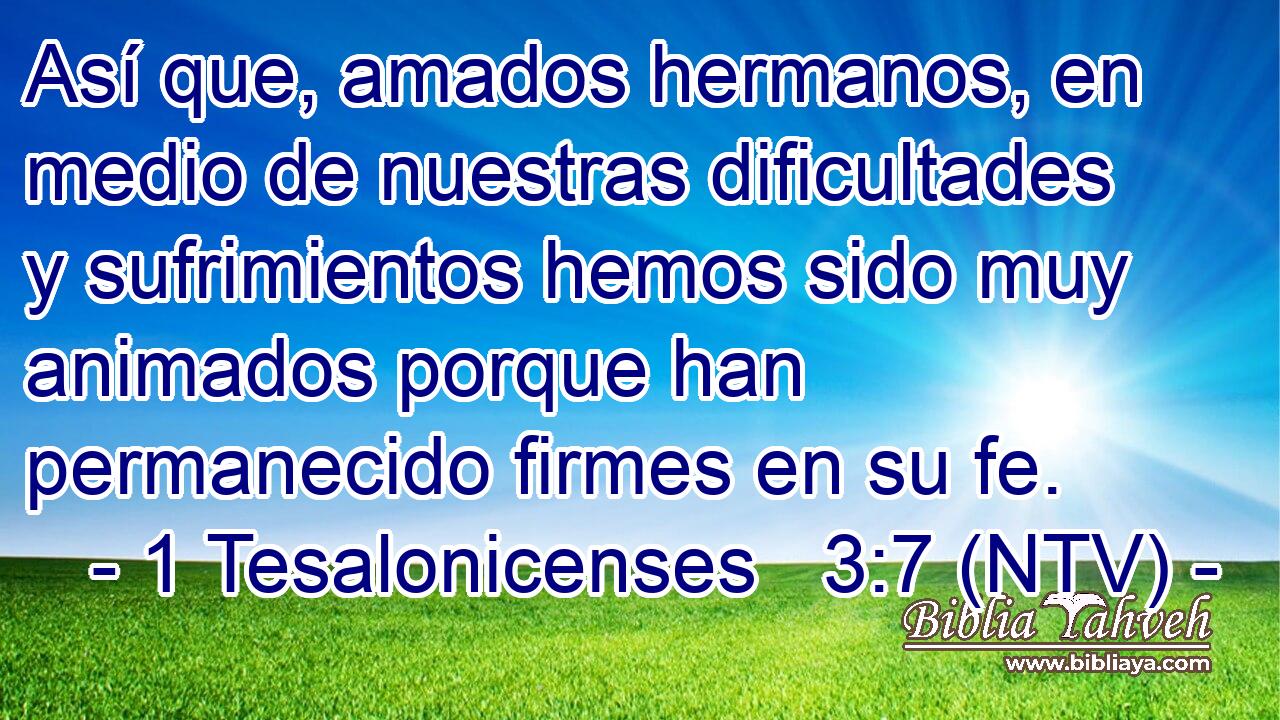Así que, amados hermanos, en medio de nuestras dificultades y sufrimientos hemos sido muy animados porque han permanecido firmes en su fe.