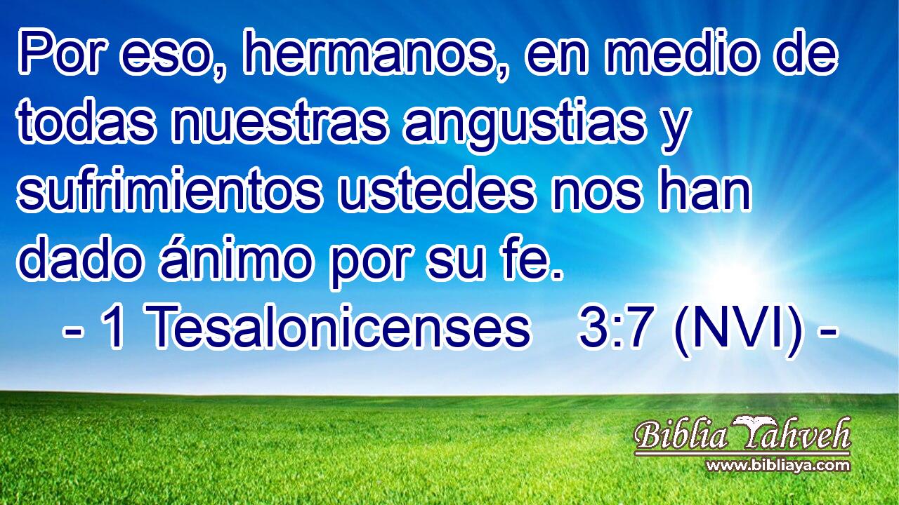  Por eso, hermanos, en medio de todas nuestras angustias y sufrimientos ustedes nos han dado ánimo por su fe. 