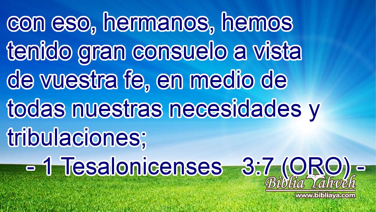 con eso, hermanos, hemos tenido gran consuelo a vista de vuestra fe, en medio de todas nuestras necesidades y tribulaciones; 
