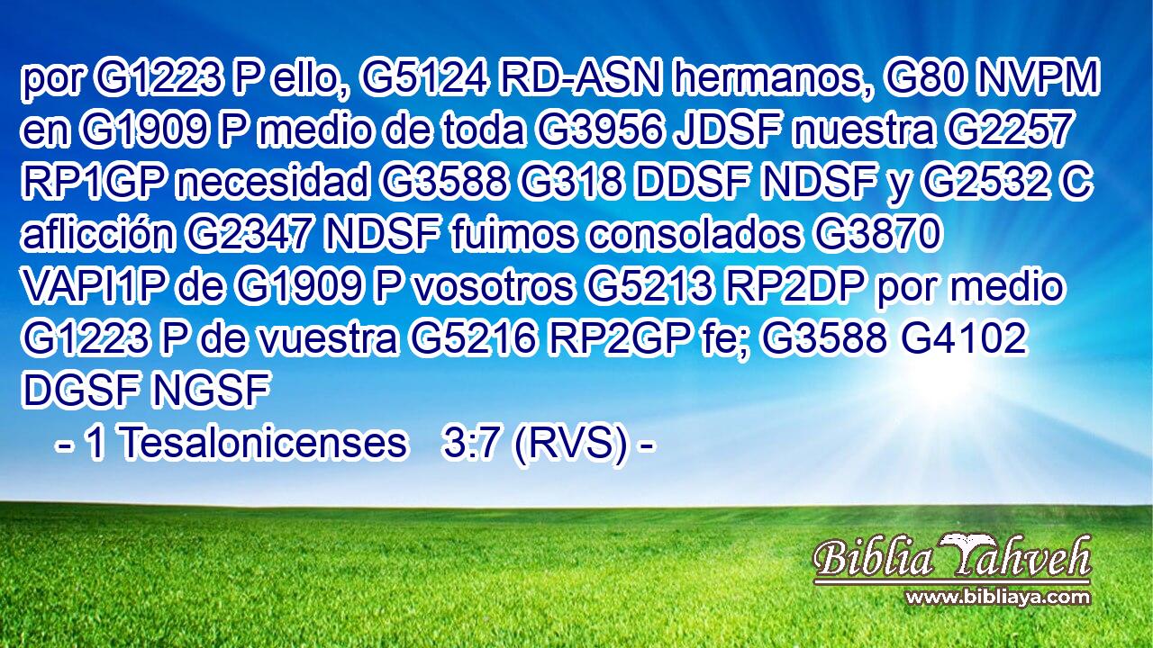 por G1223 P ello, G5124 RD-ASN hermanos, G80 NVPM en G1909 P medio de toda G3956 JDSF nuestra G2257 RP1GP necesidad G3588 G318 DDSF NDSF y G2532 C aflicción G2347 NDSF fuimos consolados G3870 VAPI1P de G1909 P vosotros G5213 RP2DP por medio G1223 P de vuestra G5216 RP2GP fe; G3588 G4102 DGSF NGSF 