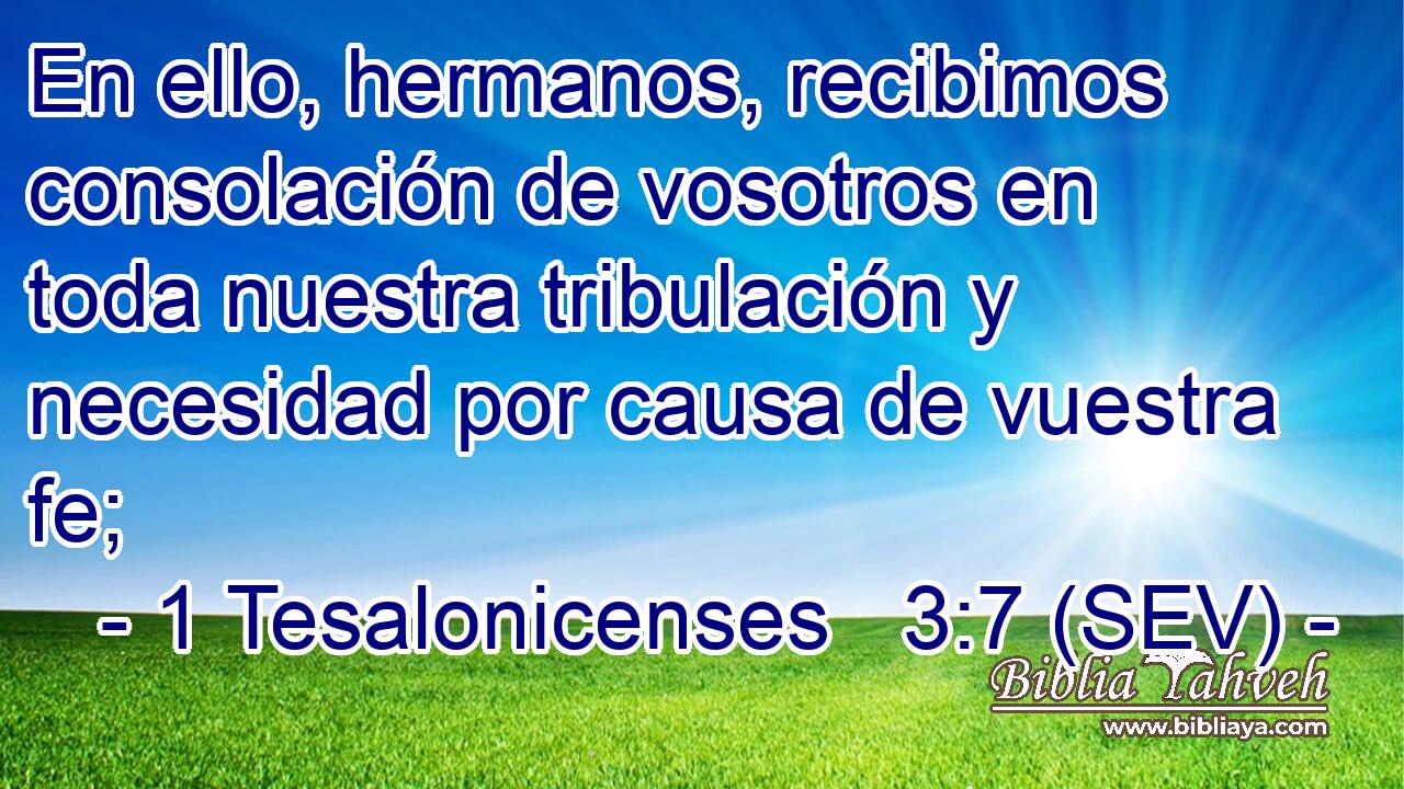 En ello, hermanos, recibimos consolación de vosotros en toda nuestra tribulación y necesidad por causa de vuestra fe;