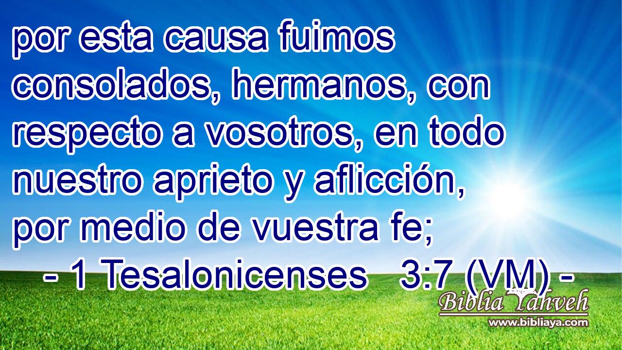  por esta causa fuimos consolados, hermanos, con respecto a vosotros, en todo nuestro aprieto y aflicción, por medio de vuestra fe; 