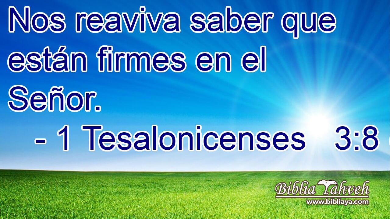 Nos reaviva saber que están firmes en el Señor.