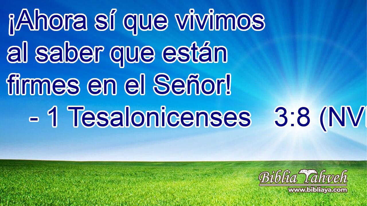  ¡Ahora sí que vivimos al saber que están firmes en el Señor! 