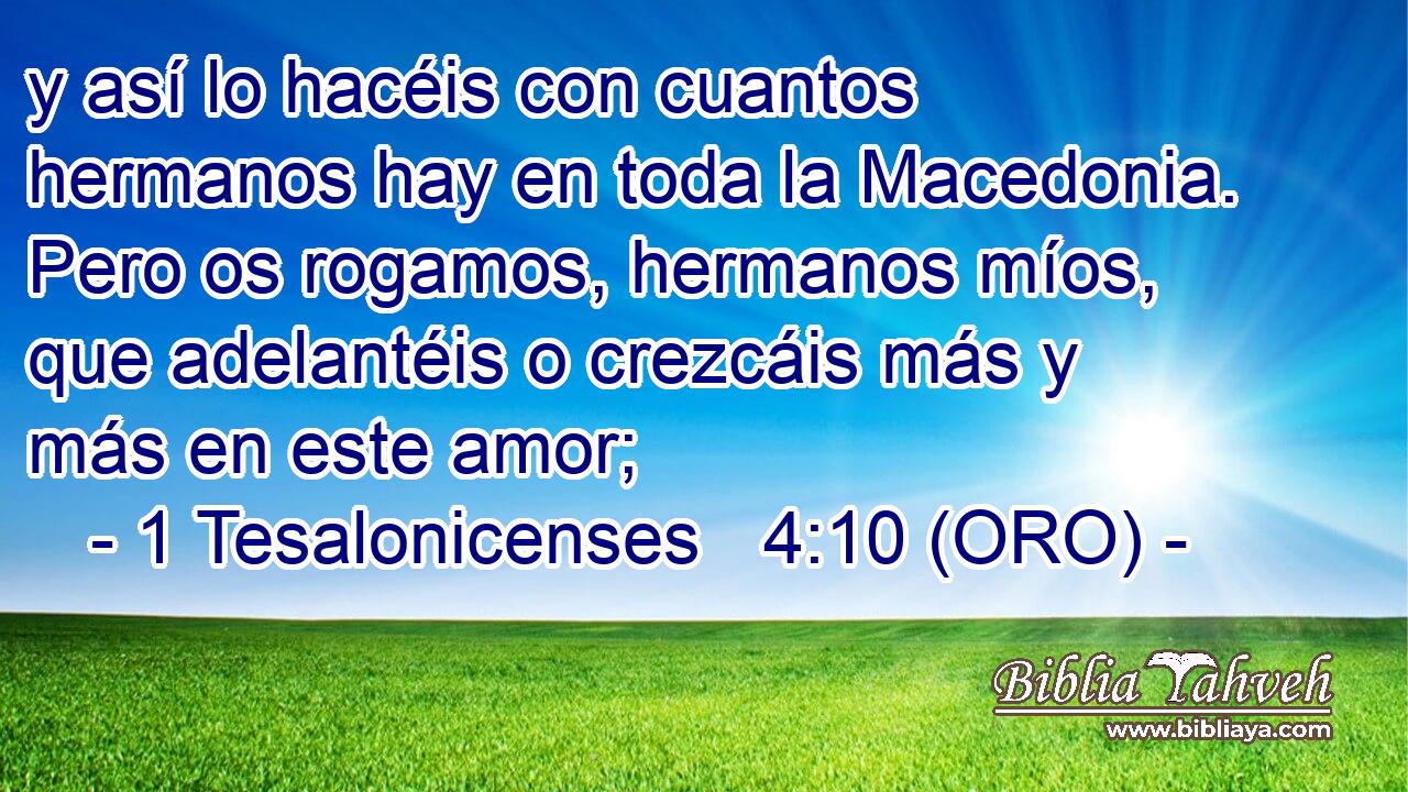  y así lo hacéis con cuantos hermanos hay en toda la Macedonia. Pero os rogamos, hermanos míos, que adelantéis o crezcáis más y más en este amor; 