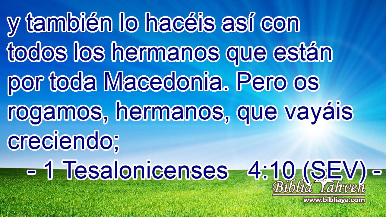 y también lo hacéis así con todos los hermanos que están por toda Macedonia. Pero os rogamos, hermanos, que vayáis creciendo;