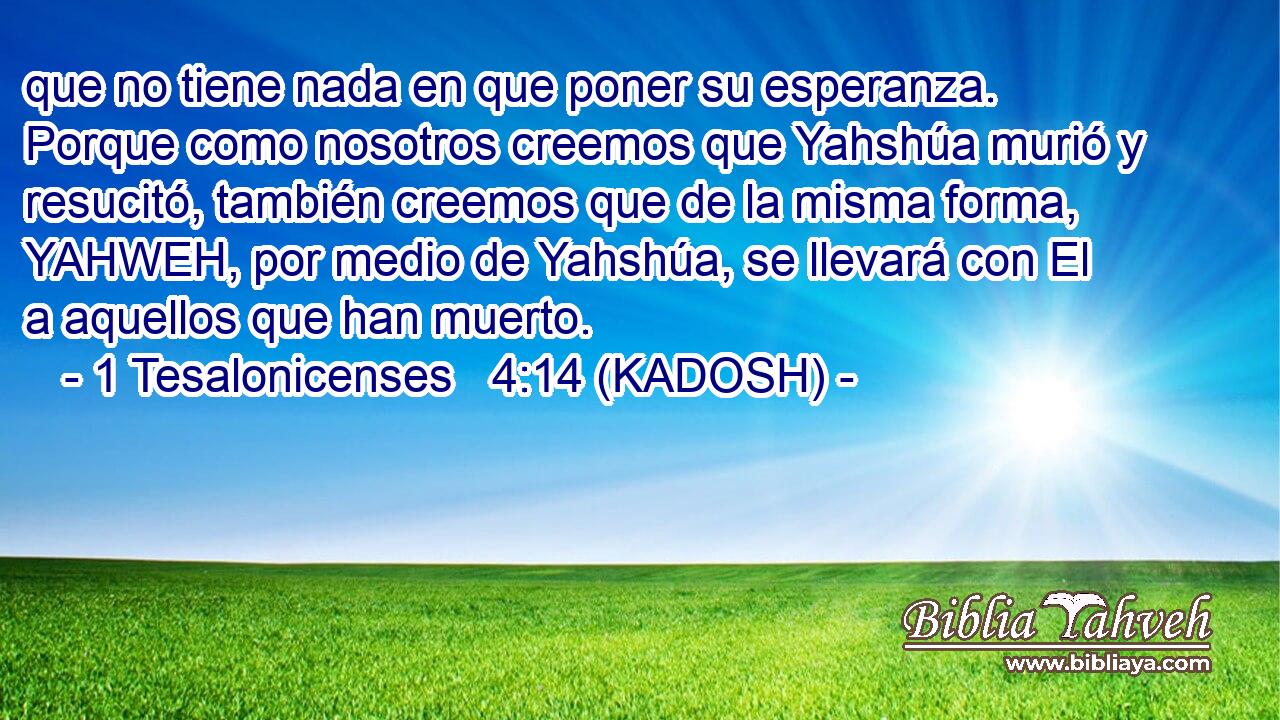  que no tiene nada en que poner su esperanza. Porque como nosotros creemos que Yahshúa murió y resucitó, también creemos que de la misma forma, YAHWEH, por medio de Yahshúa, se llevará con El a aquellos que han muerto. 