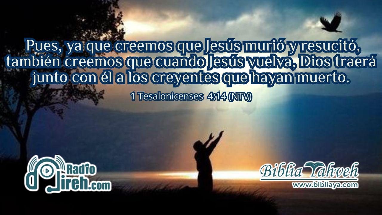 Pues, ya que creemos que Jesús murió y resucitó, también creemos que cuando Jesús vuelva, Dios traerá junto con él a los creyentes que hayan muerto.