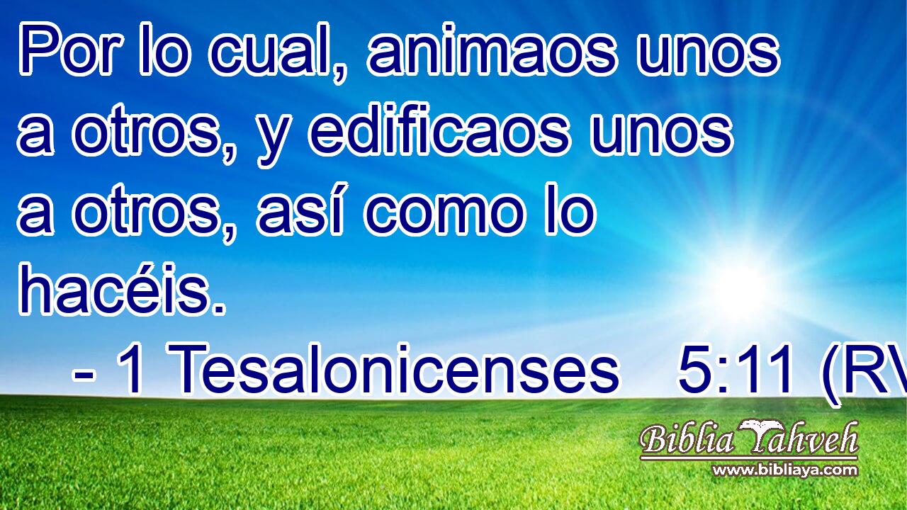 Por lo cual, animaos unos a otros, y edificaos unos a otros, así como lo hacéis.