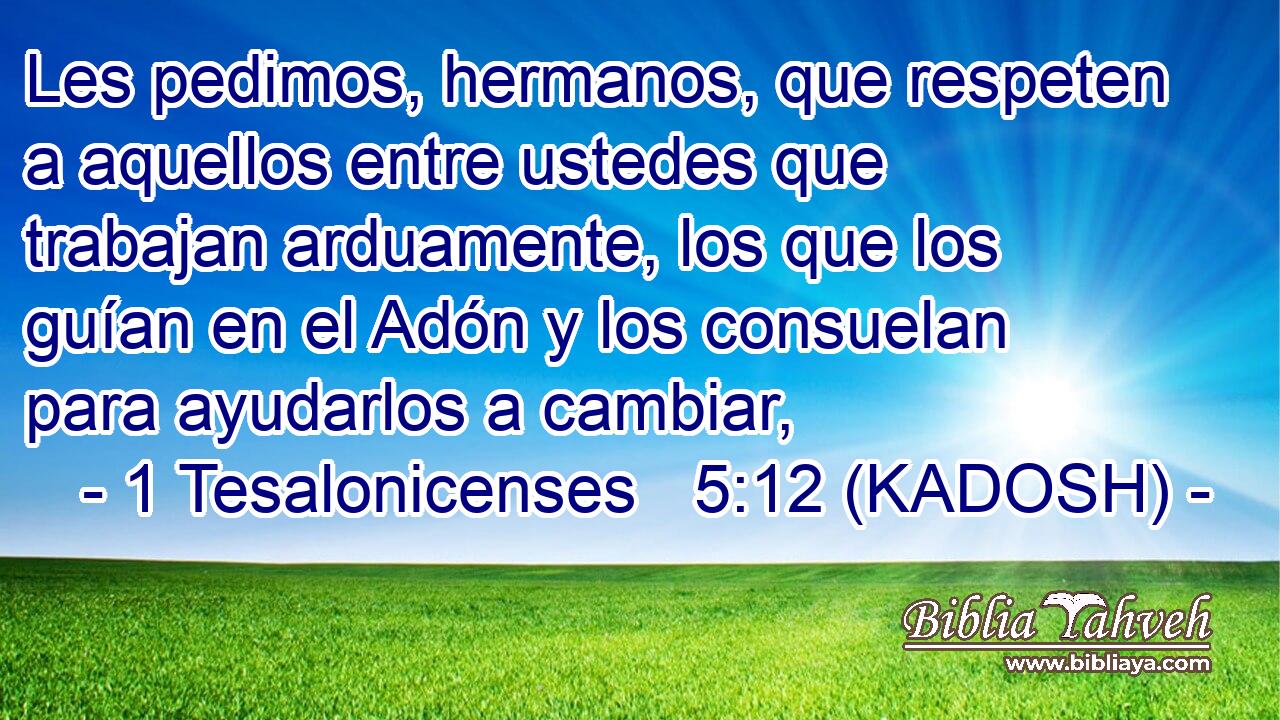  Les pedimos, hermanos, que respeten a aquellos entre ustedes que trabajan arduamente, los que los guían en el Adón y los consuelan para ayudarlos a cambiar, 