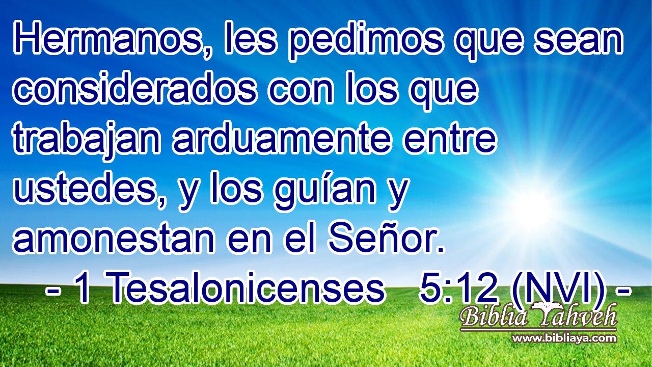  Hermanos, les pedimos que sean considerados con los que trabajan arduamente entre ustedes, y los guían y amonestan en el Señor. 