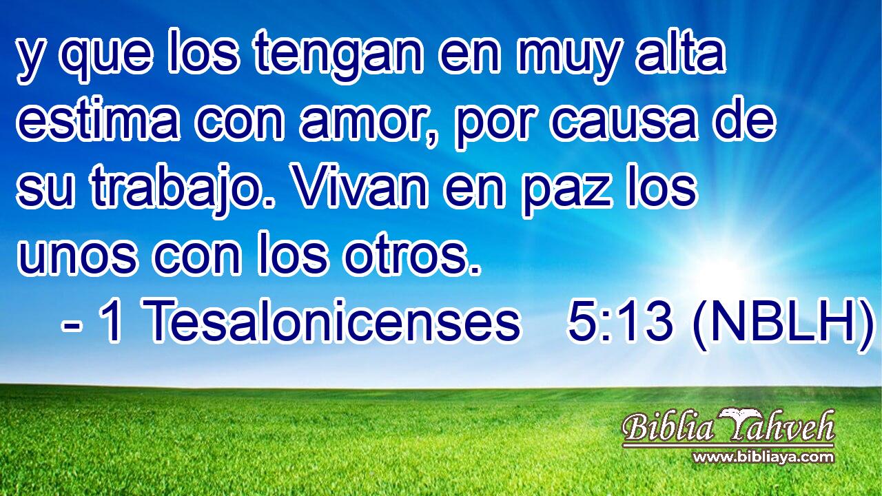  y que los tengan en muy alta estima con amor, por causa de su trabajo. Vivan en paz los unos con los otros. 
