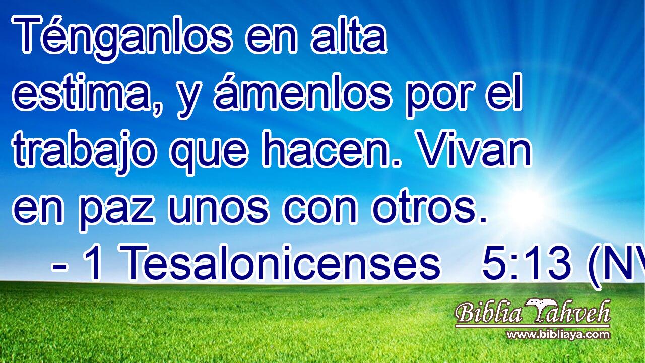  Ténganlos en alta estima, y ámenlos por el trabajo que hacen. Vivan en paz unos con otros. 