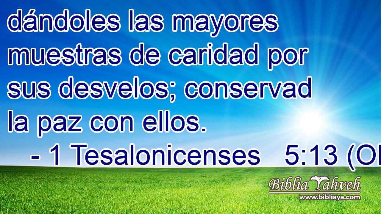  dándoles las mayores muestras de caridad por sus desvelos; conservad la paz con ellos. 