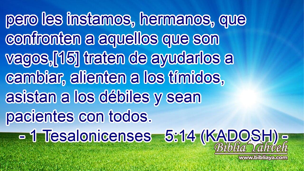  pero les instamos, hermanos, que confronten a aquellos que son vagos,[15] traten de ayudarlos a cambiar, alienten a los tímidos, asistan a los débiles y sean pacientes con todos. 