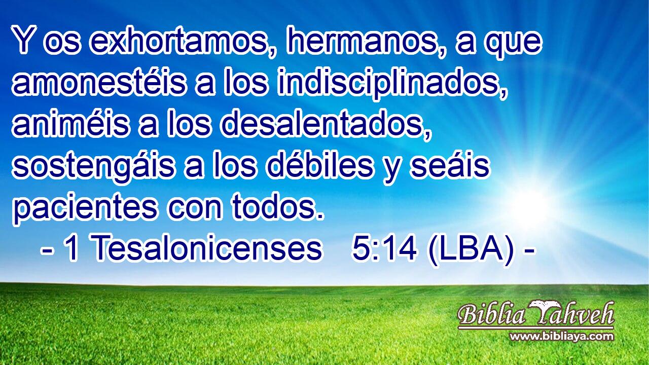 Y os exhortamos, hermanos, a que amonestéis a los indisciplinados, animéis a los desalentados, sostengáis a los débiles y seáis pacientes con todos.