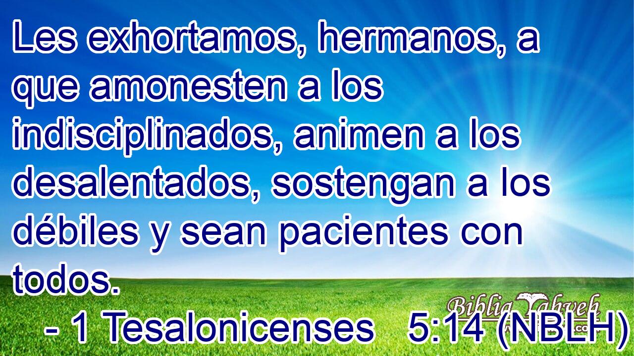  Les exhortamos, hermanos, a que amonesten a los indisciplinados, animen a los desalentados, sostengan a los débiles y sean pacientes con todos. 