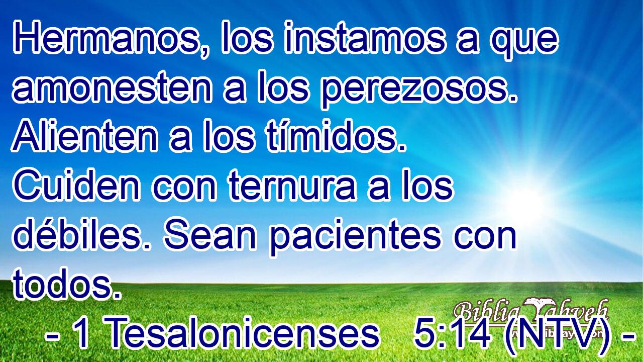 Hermanos, los instamos a que amonesten a los perezosos. Alienten a los tímidos. Cuiden con ternura a los débiles. Sean pacientes con todos.