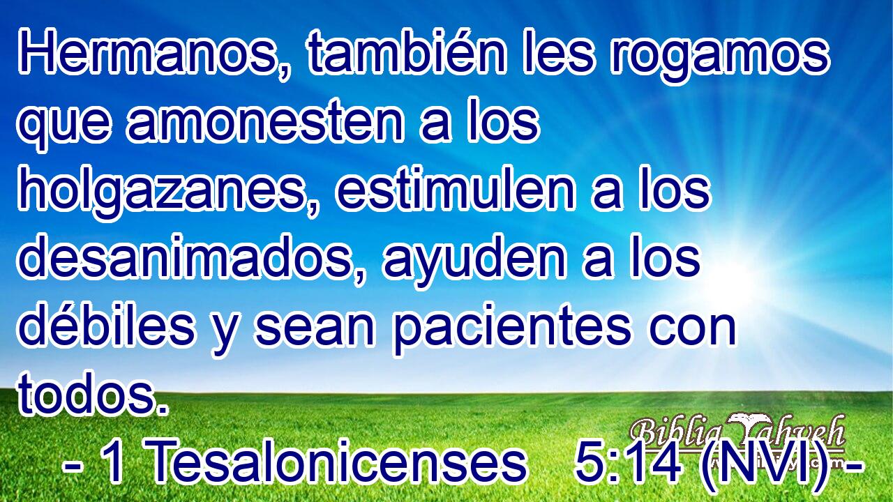  Hermanos, también les rogamos que amonesten a los holgazanes, estimulen a los desanimados, ayuden a los débiles y sean pacientes con todos. 