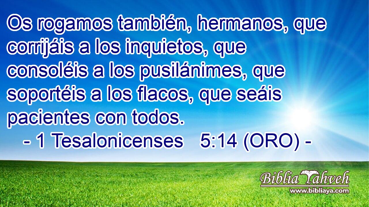  Os rogamos también, hermanos, que corrijáis a los inquietos, que consoléis a los pusilánimes, que soportéis a los flacos, que seáis pacientes con todos. 
