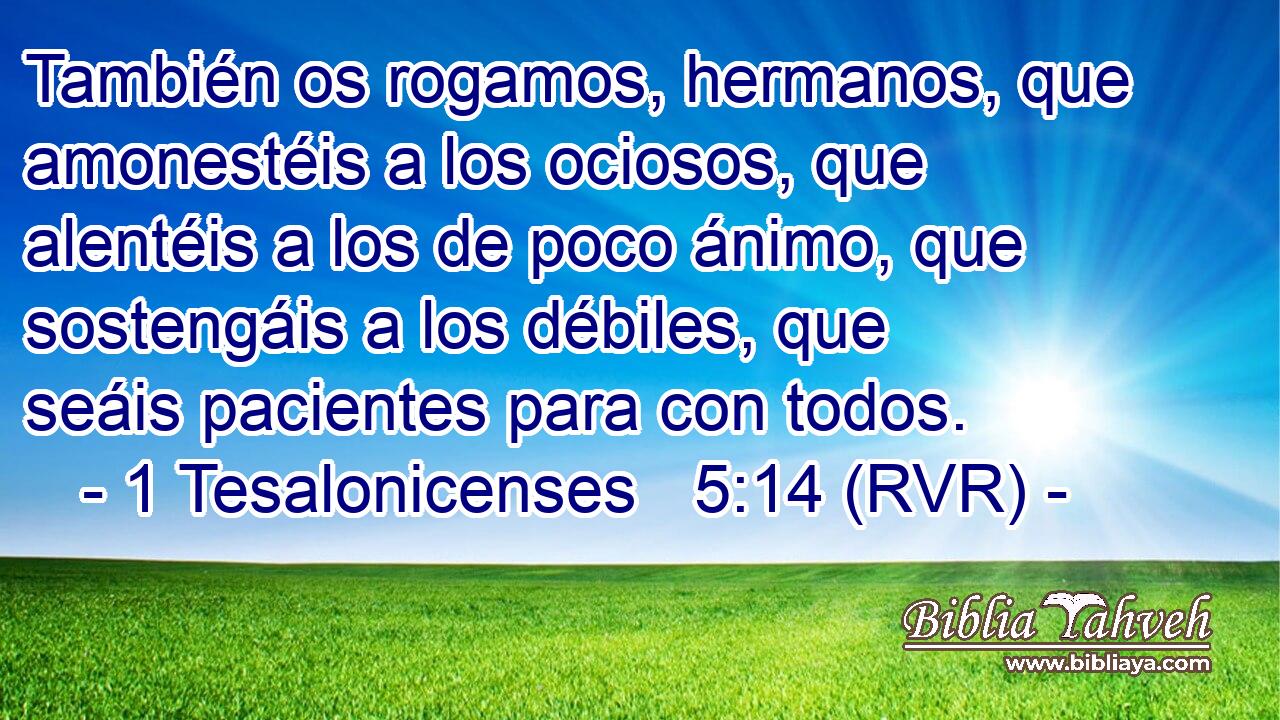 También os rogamos, hermanos, que amonestéis a los ociosos, que alentéis a los de poco ánimo, que sostengáis a los débiles, que seáis pacientes para con todos.