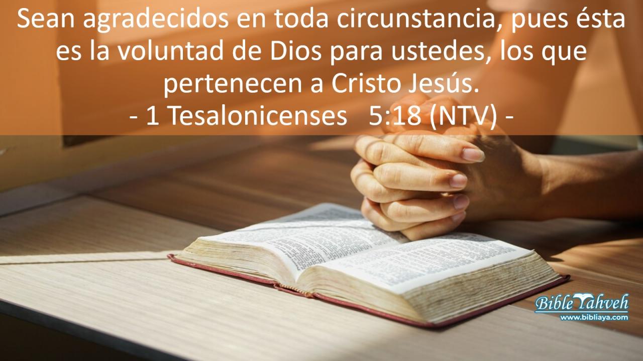 Sean agradecidos en toda circunstancia, pues ésta es la voluntad de Dios para ustedes, los que pertenecen a Cristo Jesús.