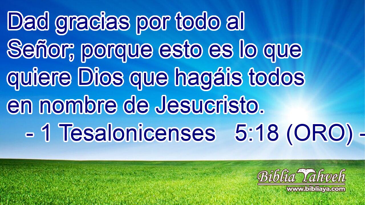  Dad gracias por todo al Señor; porque esto es lo que quiere Dios que hagáis todos en nombre de Jesucristo. 