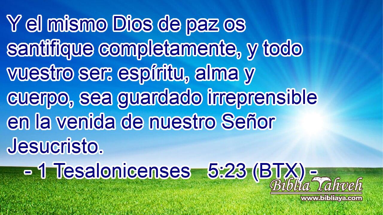 Y el mismo Dios de paz os santifique completamente, y todo vuestro ser: espíritu, alma y cuerpo, sea guardado irreprensible en la venida de nuestro Señor Jesucristo.