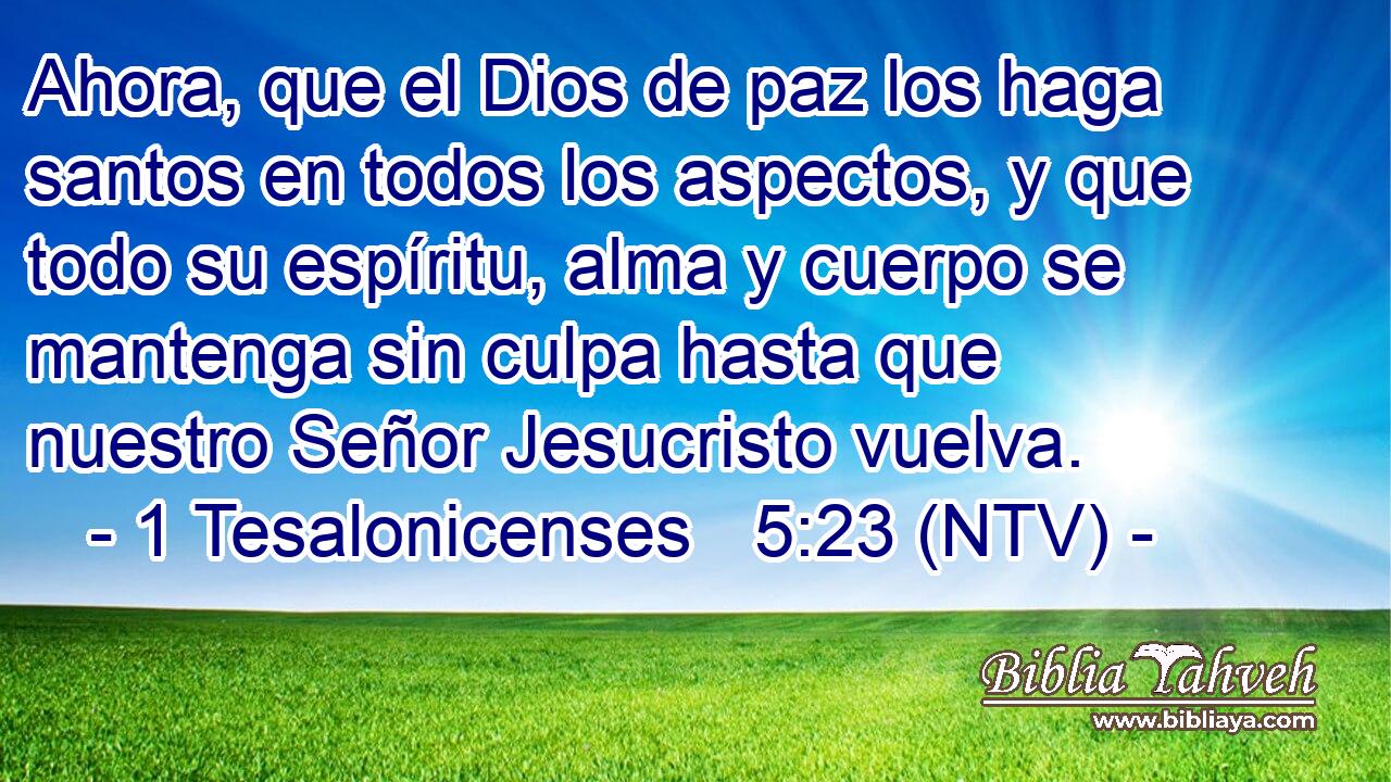 Ahora, que el Dios de paz los haga santos en todos los aspectos, y que todo su espíritu, alma y cuerpo se mantenga sin culpa hasta que nuestro Señor Jesucristo vuelva.