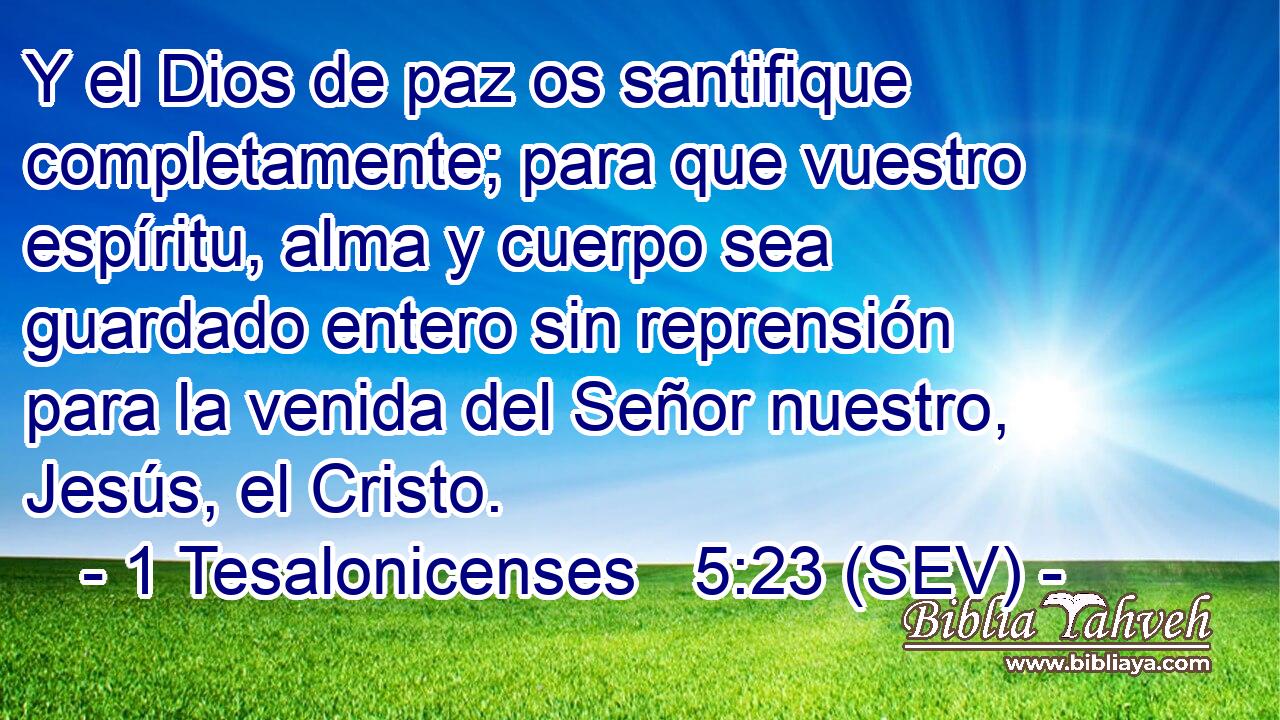 Y el Dios de paz os santifique completamente; para que vuestro espíritu, alma y cuerpo sea guardado entero sin reprensión para la venida del Señor nuestro, Jesús, el Cristo.