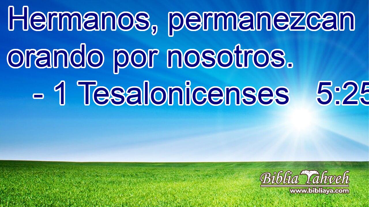 Hermanos, permanezcan orando por nosotros. 