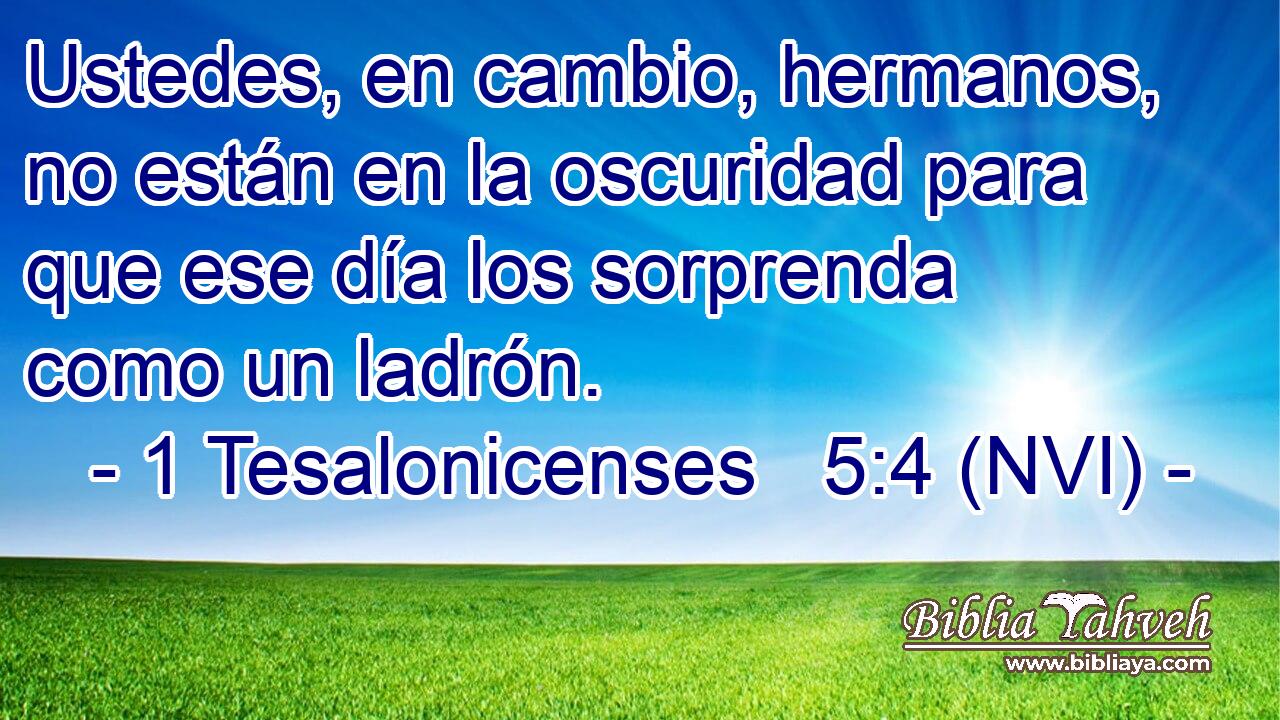  Ustedes, en cambio, hermanos, no están en la oscuridad para que ese día los sorprenda como un ladrón. 