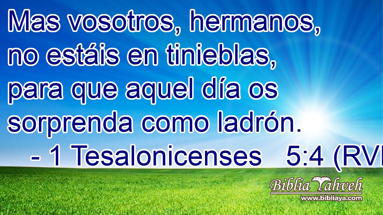 Mas vosotros, hermanos, no estáis en tinieblas, para que aquel día os sorprenda como ladrón.