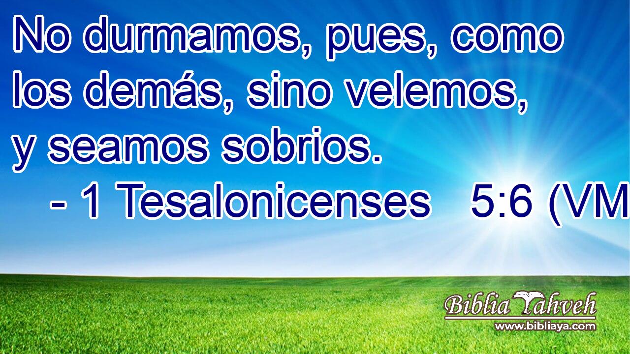  No durmamos, pues, como los demás, sino velemos, y seamos sobrios. 