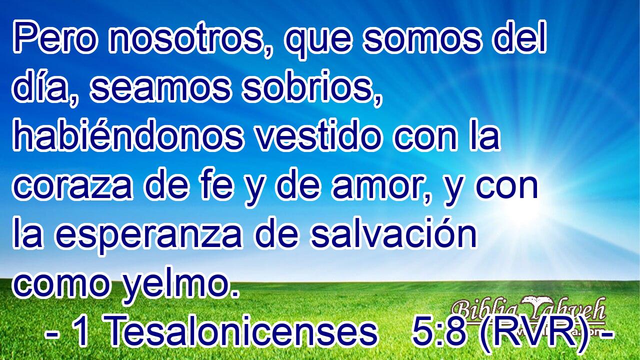 Pero nosotros, que somos del día, seamos sobrios, habiéndonos vestido con la coraza de fe y de amor, y con la esperanza de salvación como yelmo.