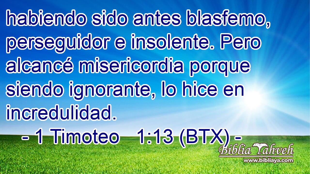 habiendo sido antes blasfemo, perseguidor e insolente. Pero alcancé misericordia porque siendo ignorante, lo hice en incredulidad.