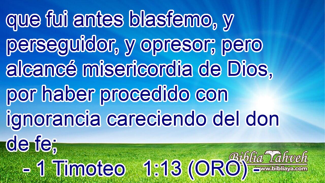  que fui antes blasfemo, y perseguidor, y opresor; pero alcancé misericordia de Dios, por haber procedido con ignorancia careciendo del don de fe; 