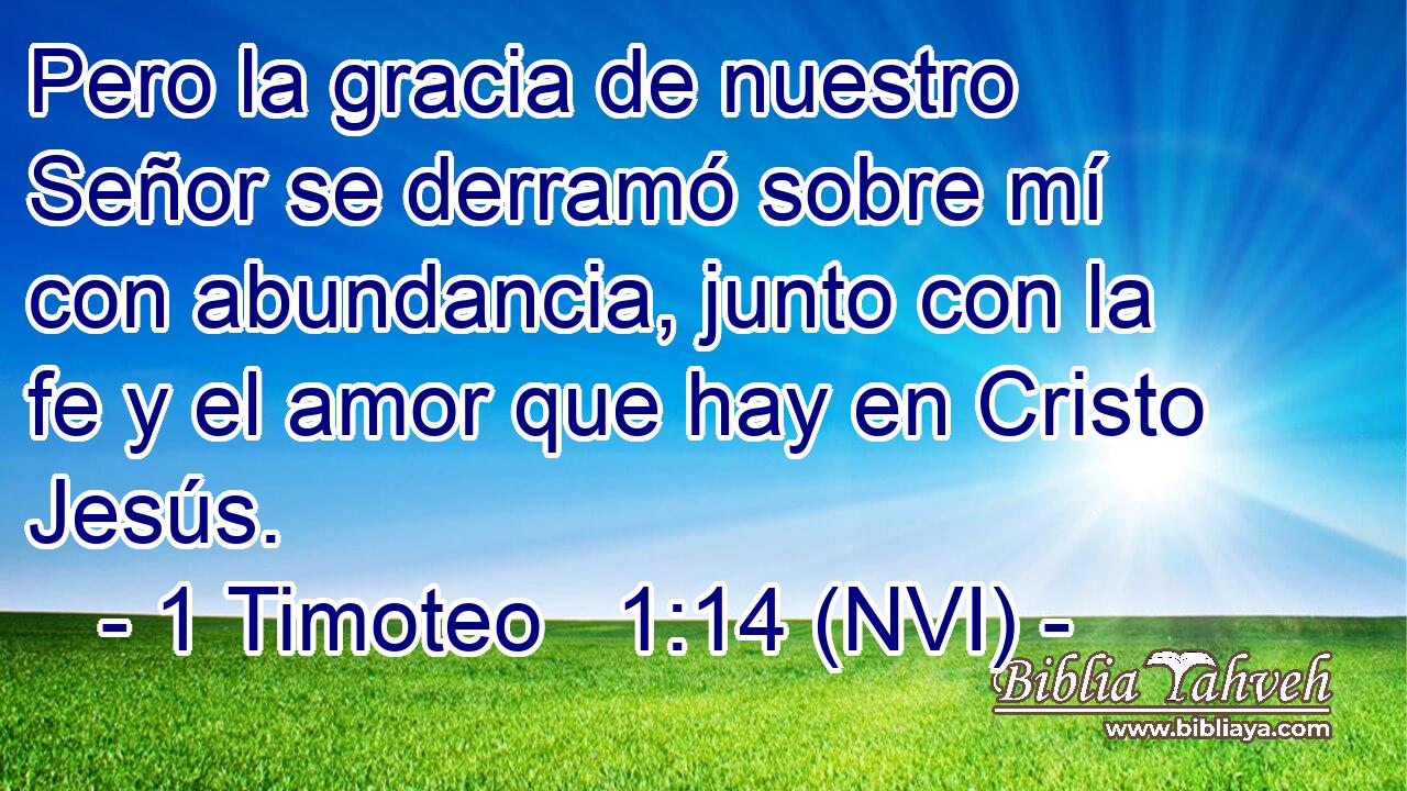  Pero la gracia de nuestro Señor se derramó sobre mí con abundancia, junto con la fe y el amor que hay en Cristo Jesús. 